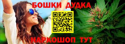 амф Гай