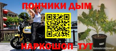 амф Гай