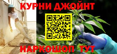 сатива Гатчина