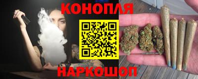 амф Гай