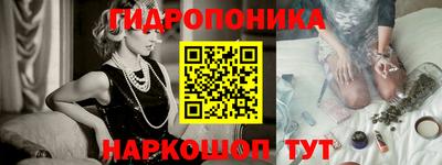 амф Гай